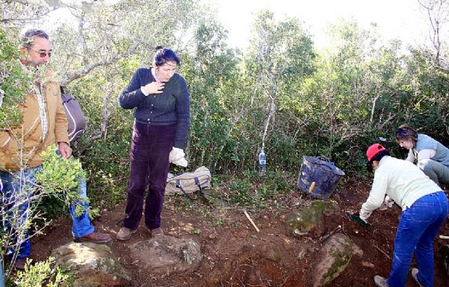 Las necrópolis megalíticas del entorno de la Laguna de la Janda. Trabajo de campo y características. 4