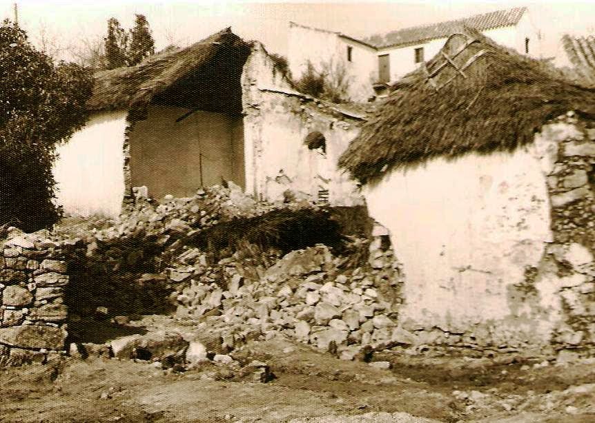 Informe sobre Benalup de Sidonia. Marzo 1963. 9