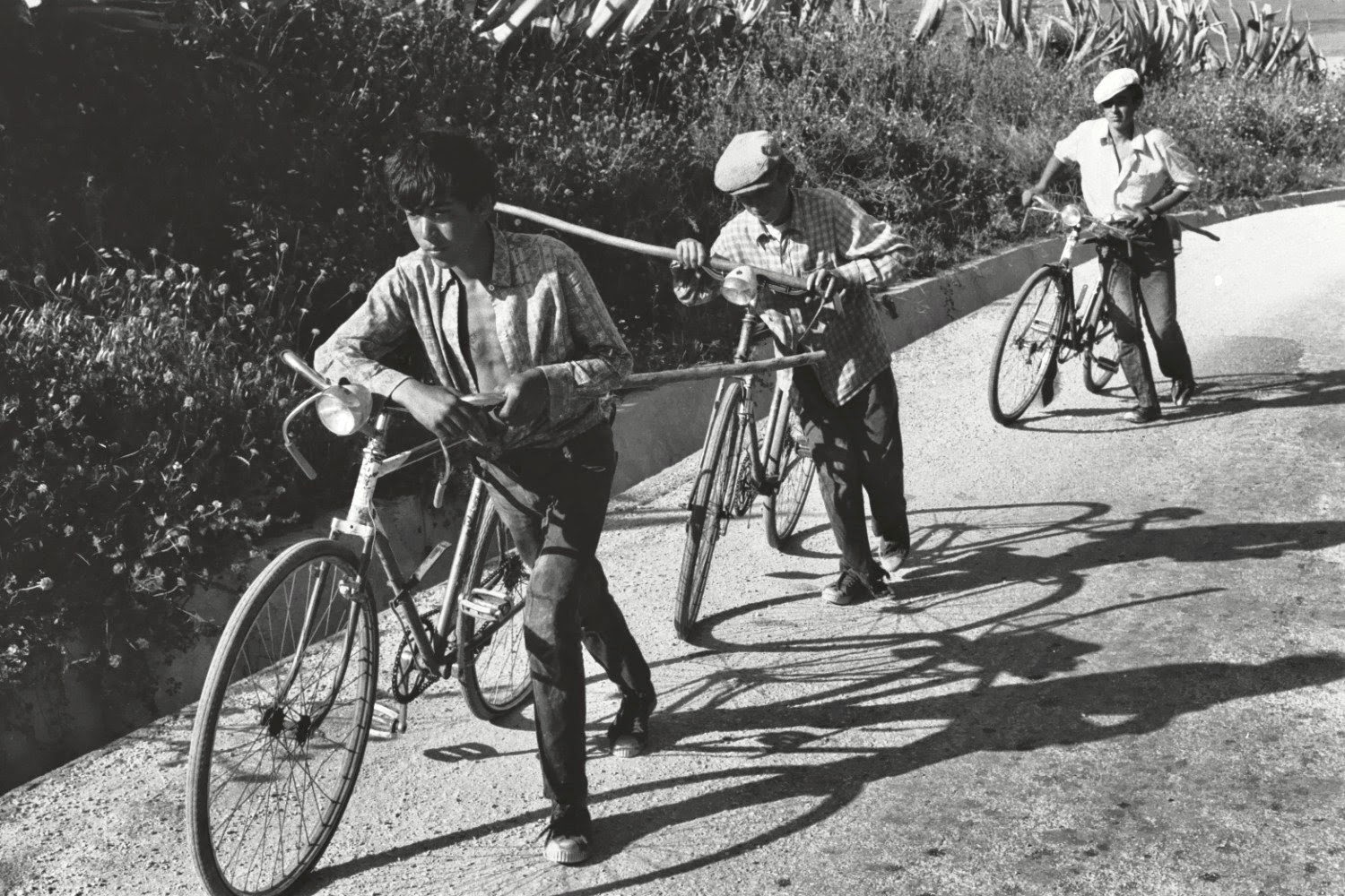 La bicicleta en fotos de Mintz