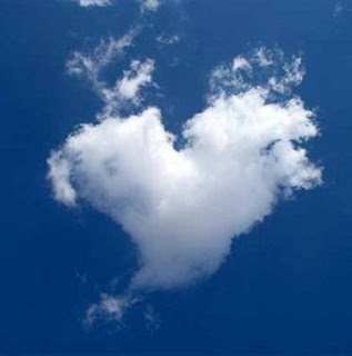 EL CORAZÓN. Por Francisco José Nieto Reyes