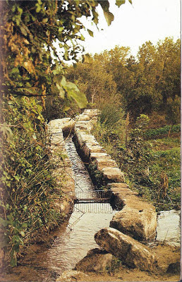 El Benalup-Casas Viejas medieval. La economía musulmana. Los huertos y otras actividades