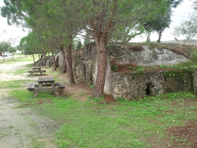 El Benalup-Casas Viejas medieval. La economía musulmana. Los molinos. 5