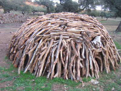 El carbón a través de la historia de Benalup-Casas Viejas. Explotación y elaboración de un horno de carbón. 6
