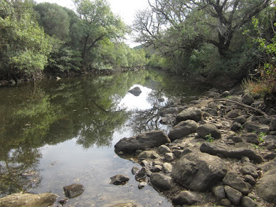 Patrimonio municipal. Agua, vías pecuarias y dehesas. El agua y el ganado. 5