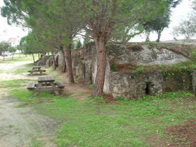 Patrimonio municipal. Agua, vías pecuarias y dehesas. Molinos maquileros. 7