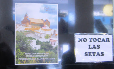 Jornadas gastronómicas de las setas en Cádiz