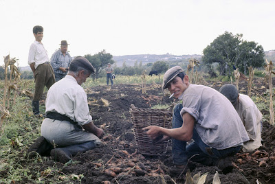 Los hortelanos