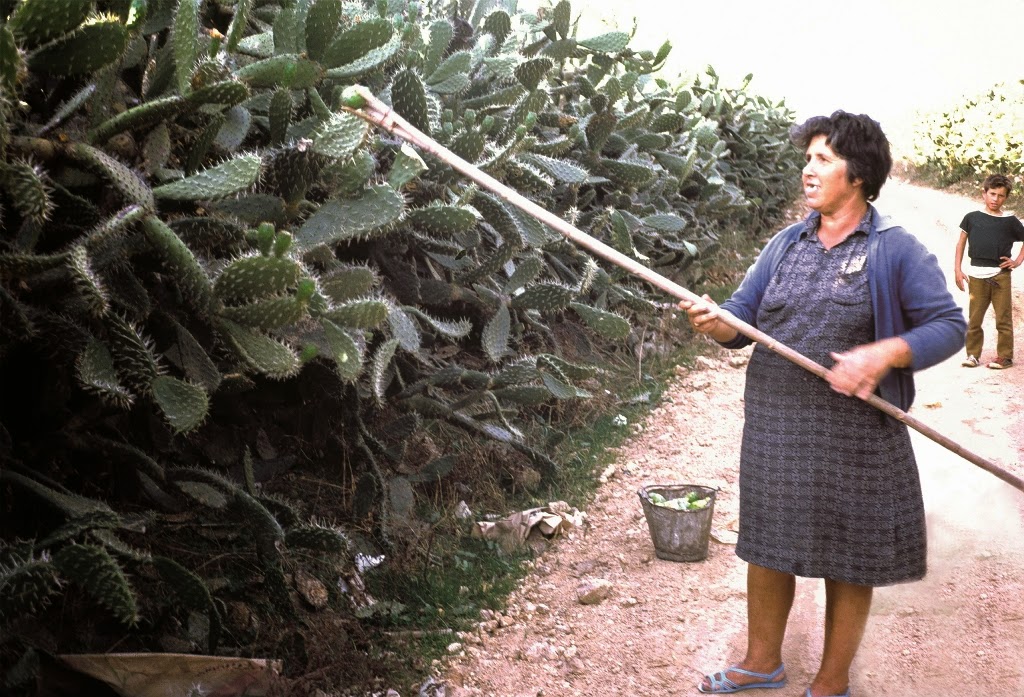 Mujeres las grandes olvidadas. Recolentando lo que se podía. 14