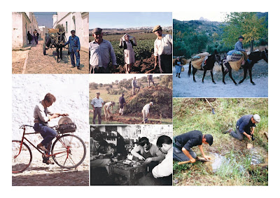 Jerome Mintz, un andaluz en Indiana. El mundo del trabajo. 9