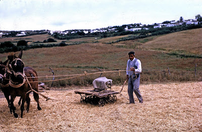 Lo que el viento se llevo. Monopolio agrario.4