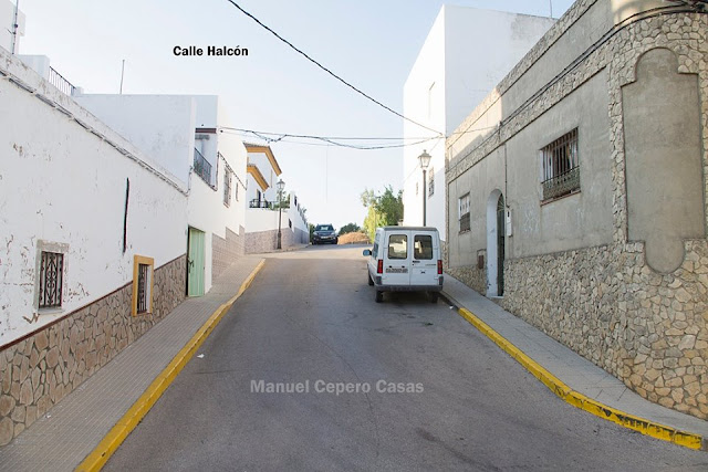 El nombre de las calles. Nombres de Flora, fauna, ciudades y oficios. 8
