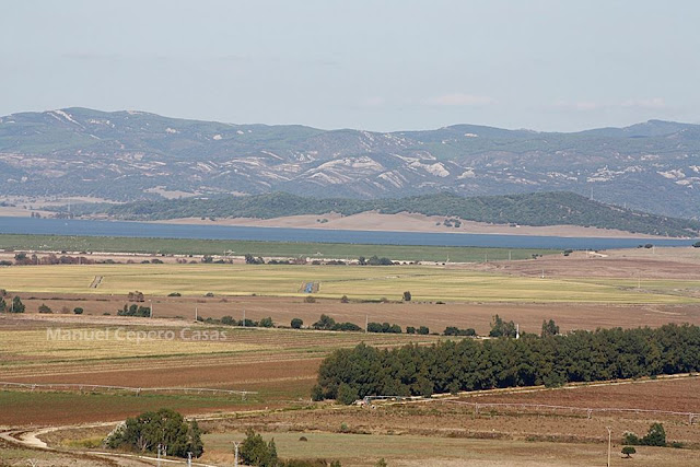 Sitio de puertas y encrucijadas