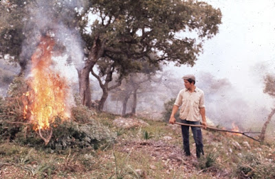 Las tradiciones se rebelan Los piconeros. 34