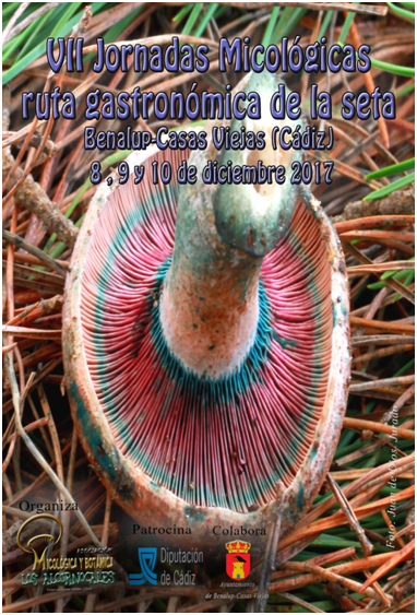 VII jornadas gastrónomicas. Ruta gastronómica de la seta. BCV