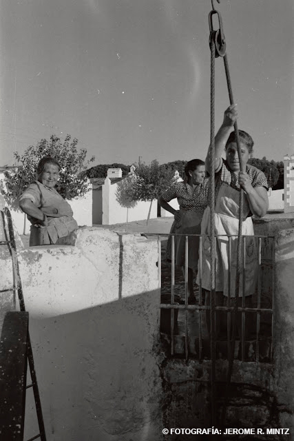 Unas fotos en busca de texto