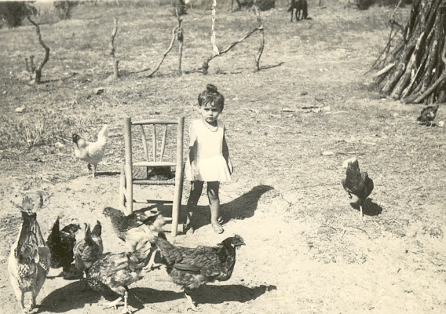 El Gallo Blanco. 3.  Por Francisco J. Martínez Guerra