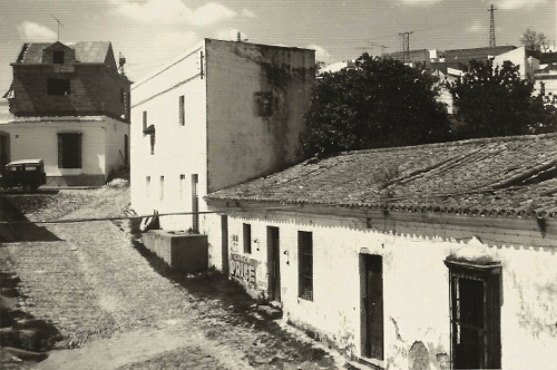 El Gallo Blanco.De gatos y perros y el incidente del gallo Sansón. 2.B. Por Francisco J. Martínez Guerra