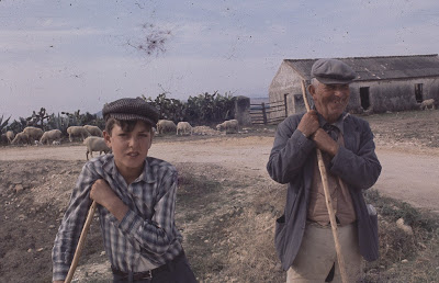 El habla de Benalup-Casas Viejas. Usos Agrarios. Ganadería. 27