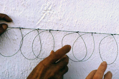 El habla de Benalup-Casas Viejas. El mundo de la caza menor. 31