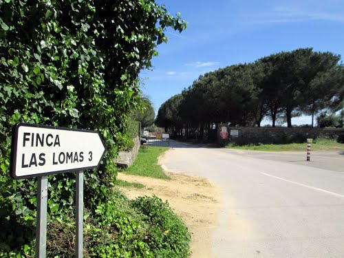 Las Lomas. Pasado y presente. Y 4