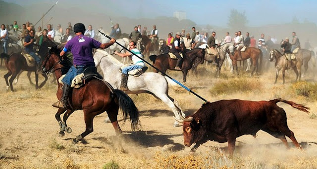Leer y viajar antídoto contra el fatalismo. Eslava Galán. Fiestas. El toro de la Vega. 4