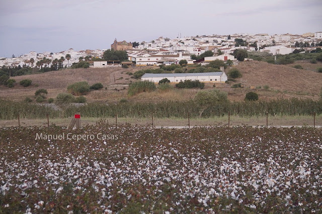 El pueblo del olvido que lucha por la prosperidad. De Teresa Ríos Moguer
