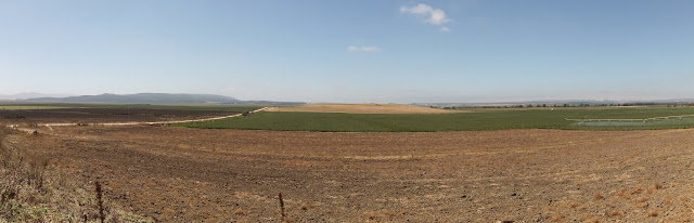 TODO COMENZÓ EN  “LA LAGUNA DE LA JANDA”.Y 2 Por Ricardo J. Montés Ferrero