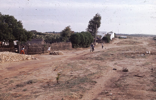 Los lugares emblemáticos de Mintz. Ámbito público. Las viviendas del Tajo. 5