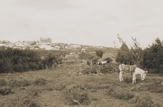 Gran almanaque