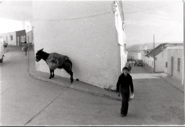Los lugares emblemáticos de Mintz. Ámbito público. La calle Independencia. 18