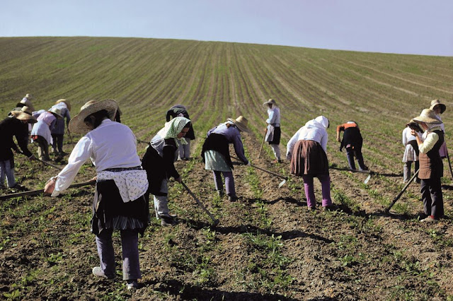 Tierras de mujeres por María Sánchez y Antonio González. El futuro del mundo rural. Y 10