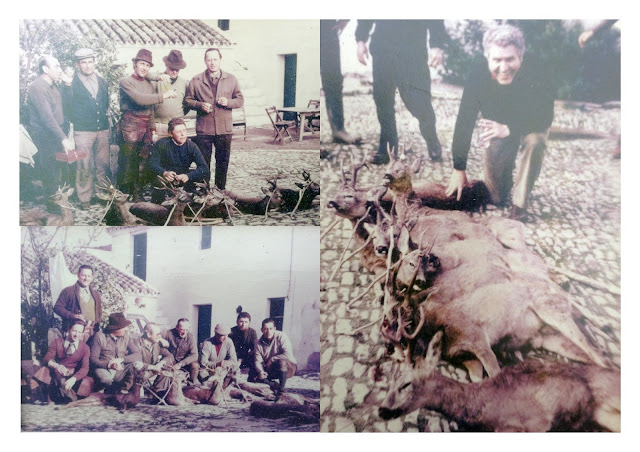 Patrimonio cultural familiar de B-CV. La cacería. Cambios en especie y en metodología. 29