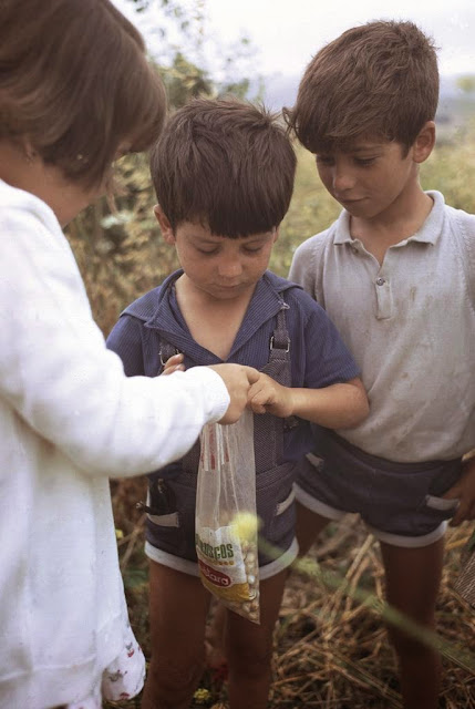 El Benalup de Sidonia de finales de los sesenta y principio de los setenta en los outtakes de Mintz. Los recursos naturales. Las actividades depredadoras. 9