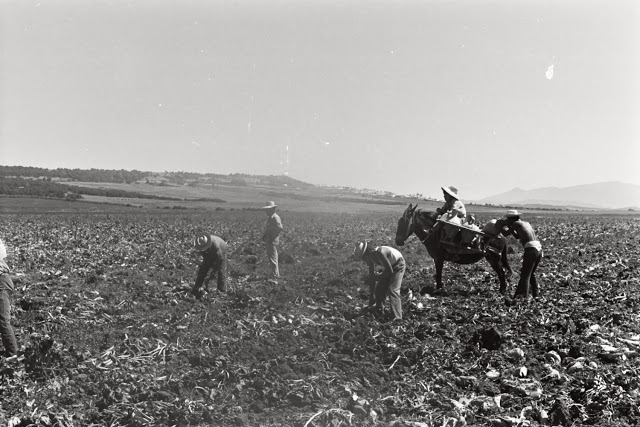 El origen de las palabras. Cantimplora y «Aguaor». 10