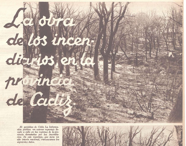 Casas Viejas en la hemoroteca digital de la Biblioteca Nacional. Los incendios del monte